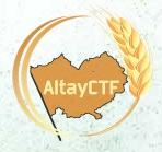 IV межвузовские соревнования по информационной безопасности «AltayCTF» состоятся в рамках «ЭНА – 2018» с 23 по 25 июня