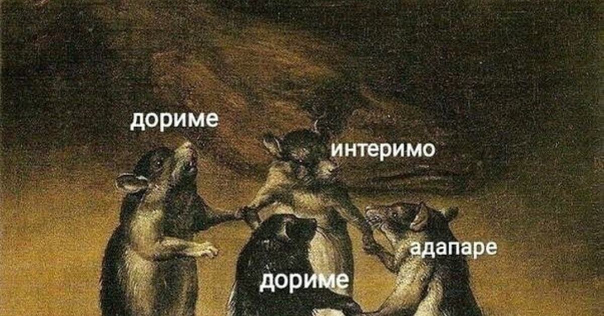 дориме