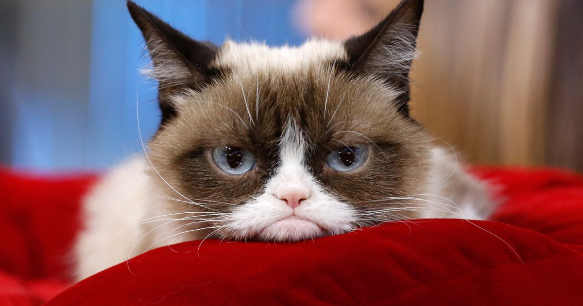 grumpy